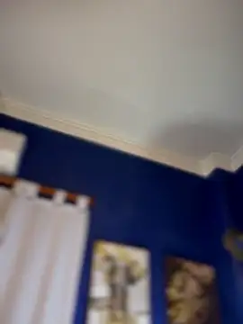 LeylaKnox Live Chatraum