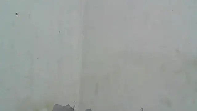 Sala de chat ao vivo de blackgal2