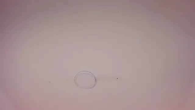 EsperanzaMora чат на живо