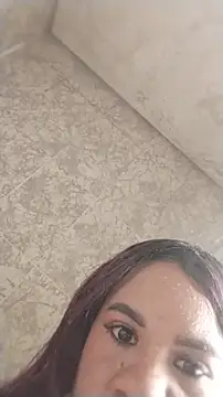 Bilik Sembang Langsung FerPetra