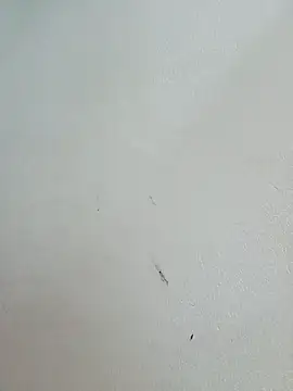 Sala de chat ao vivo de -Bitilu-