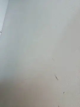 -Bitilu- Cameră chat live