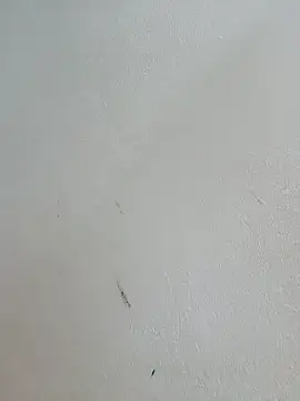 Sala de chat ao vivo de -Bitilu-