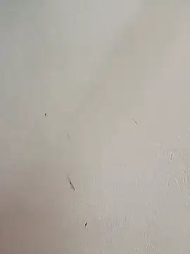 -Bitilu- Cameră chat live