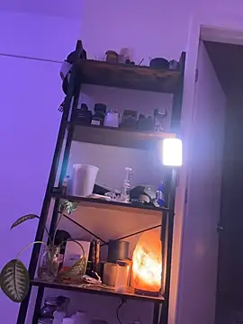 alldogsgotoheaven 실시간 채팅방