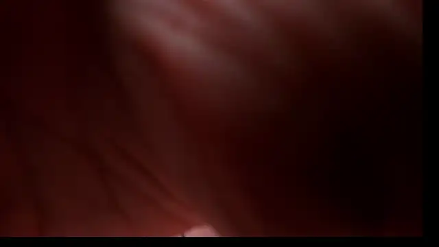 allpawgsgotoheaven 실시간 채팅방