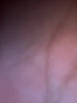 MiLu_lll Live Chatraum