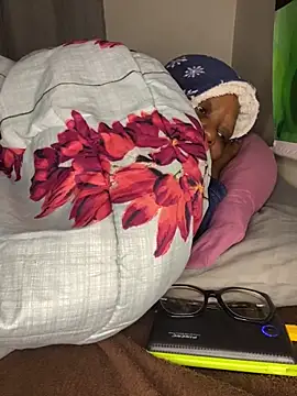 BoobsQueeen Cameră chat live