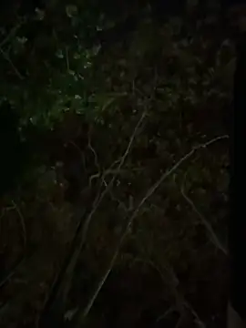 Bilik Sembang Langsung Abrildqquino