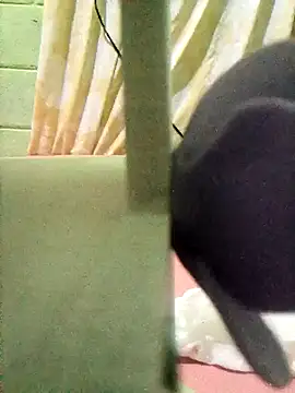 Bilik Sembang Langsung Steevengjgftkjhtek