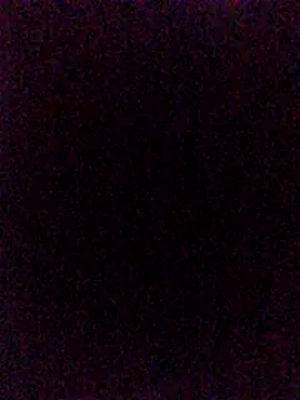 Steevengjgftkjhtek 现场聊天室