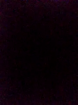 Steevengjgftkjhtek 실시간 채팅방