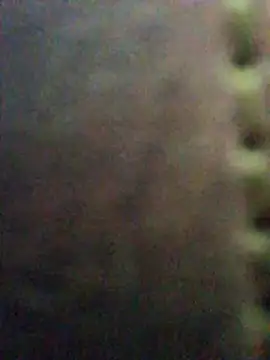 Steevengjgftkjhtek Live Chatraum