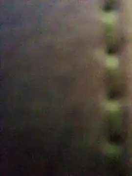 Steevengjgftkjhtek live-chat rom