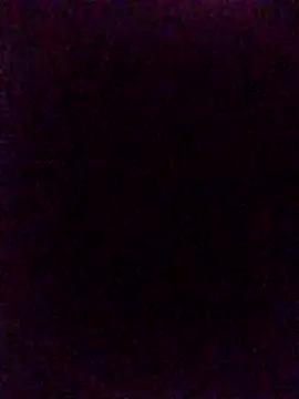 Steevengjgftkjhtek Live Chatraum
