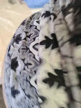 Chat soba uživo modela dayanesexxy