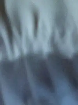 Ryry1188 Live Chatraum