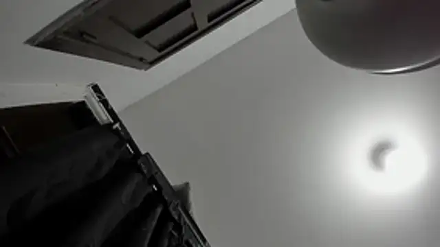 DilanAndKing Live Chatraum