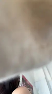 AlmaSajor_ Live Chatraum