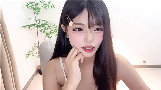 Kitteovo Live Chatraum