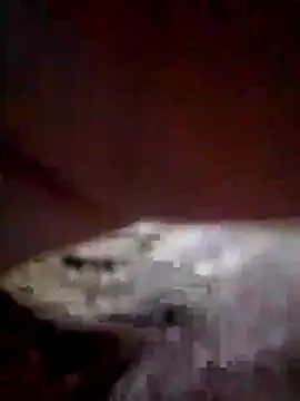 Živá chatovací místnost Fay_love26