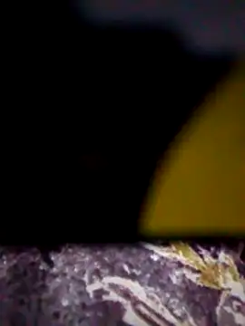 Živá chatovací místnost Fay_love26