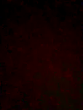 Fay_love26 Live Chatraum