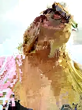 SilvyDiamond Live Chatraum