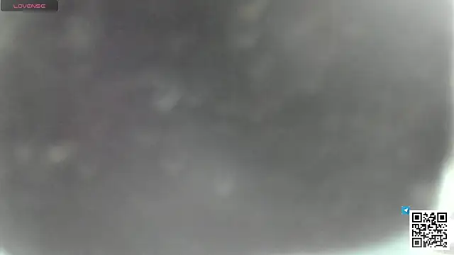 seijaku_ – live chatrum