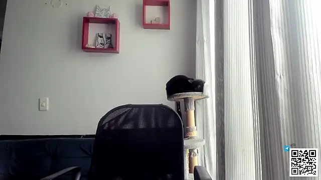 Sala de chat ao vivo de seijaku_
