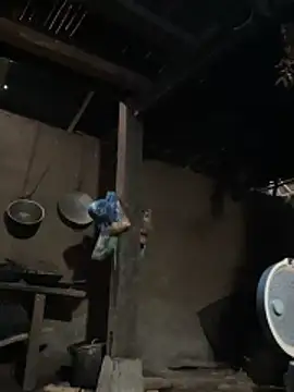 Zion-z Cameră chat live