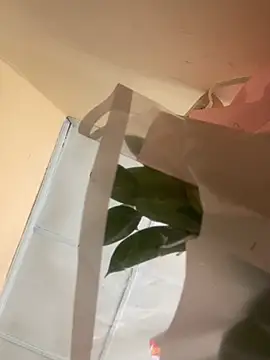 Онлайн чат _BellaSmith_