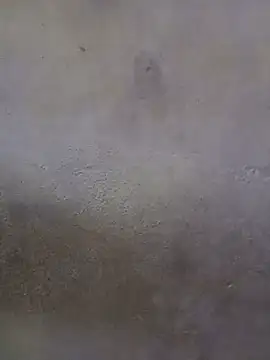 sereiaametista Live Chatraum