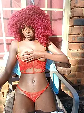 PetiteEbonyBabe_'s Live Chat Room