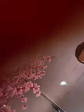 Iriistai1のライブチャットルーム