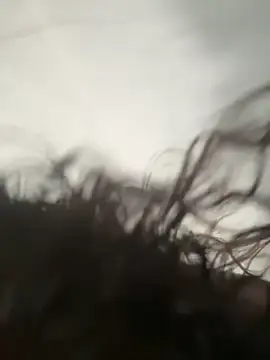 Chat ao vivo de Ninibella