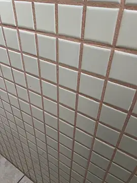 Živá chatovací místnost Anjinho311010