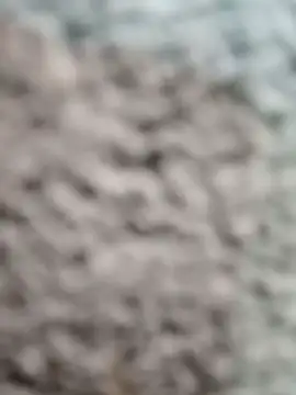 Živá chatovací místnost Anusingh899