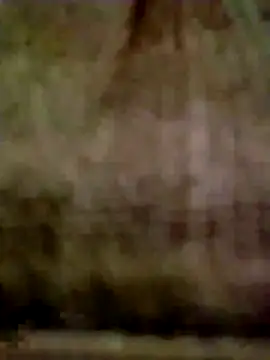 jeanyummytits Live Chatraum