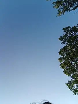 Emiles élő chatszobája