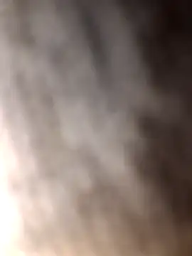 japonesdobrasil Cameră chat live