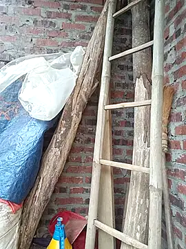 Elena_Mia Ruang Obrolan Langsung