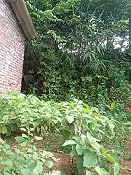 Elena_Mia Live Chatraum