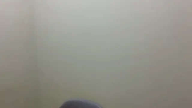 Sheezel Cameră chat live