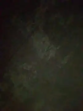 melody__13 чат на живо