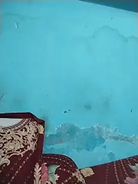 Sala de chat en directo de tazfia_jahan19