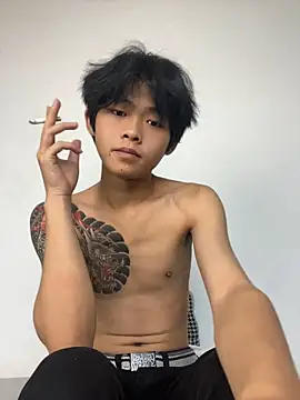 XBD-1 网络视讯表演