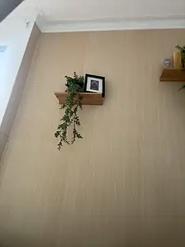 Lily_Rush Live chatroom