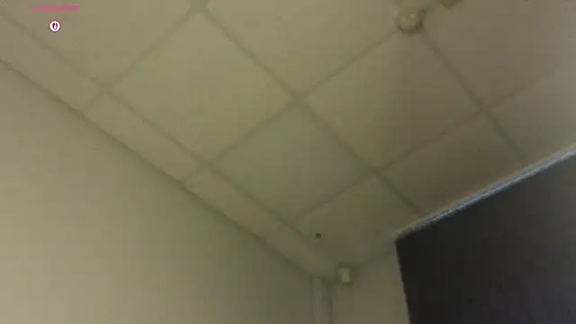Sala de chat en directo de TonyaMeow