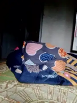 Chat ao vivo de Tieuthu2